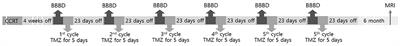 One-Year Outcome of Multiple Blood–Brain Barrier Disruptions With Temozolomide for the Treatment of Glioblastoma